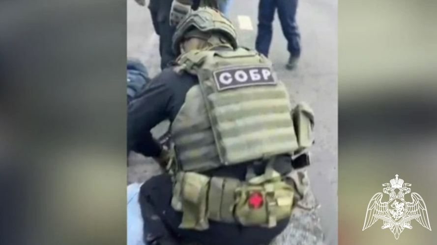 В Вологодской области при силовой поддержке СОБР «Дружина» задержаны подозреваемые в сбыте наркотиков в особо крупном размере
