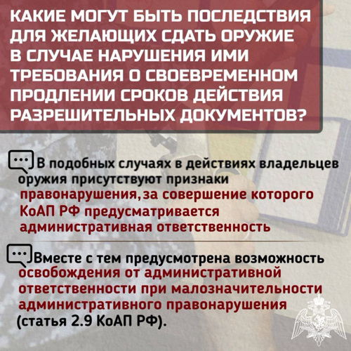 Сотрудники Росгвардии напоминают о возможности передачи гражданского оружия для использования при выполнении задач СВО