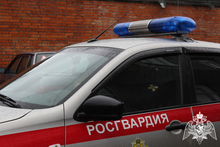 В 2024 году сотрудники вневедомственной охраны Росгвардии более 9 тысяч раз выезжали на поступившие сигналы «тревога»
