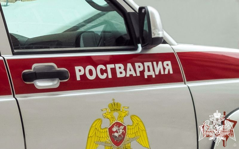 29 нарушителей на территории Вологодской области задержали за минувшую неделю сотрудники вневедомственной охраны Росгвардии
