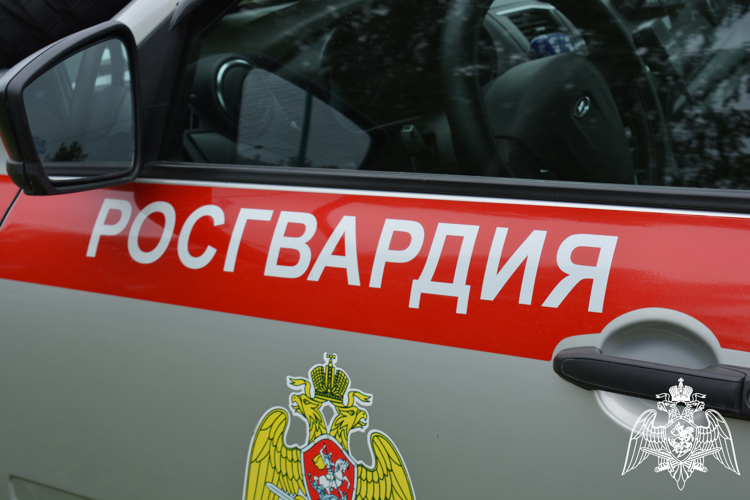 В Вологде росгвардейцы задержали девушку, которая за 2 часа несколько раз похитила товары из магазина