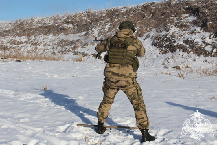 В Вологде состоялся турнир, посвященный памяти сотрудников СОБР «Дружина», погибших при исполнении служебного долга (ВИДЕО)