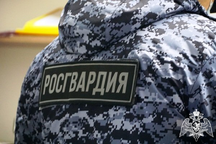 24 правонарушителей на территории Вологодской области задержали сотрудники вневедомственной охраны Росгвардии за минувшую неделю