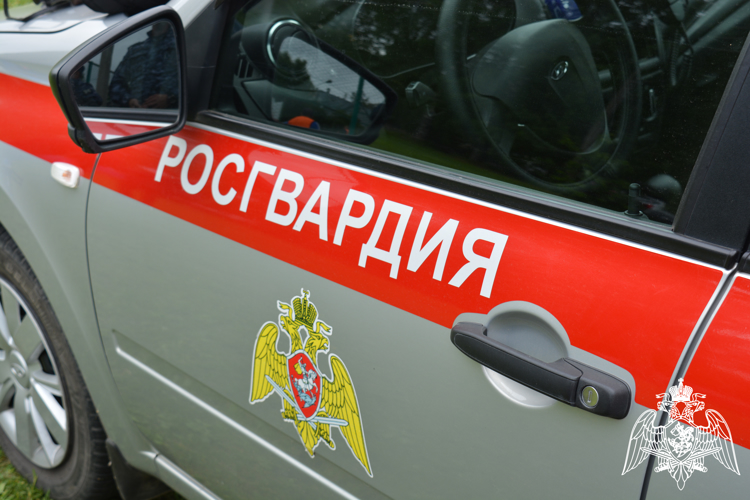 22 правонарушителя на территории Вологодской области задержали сотрудники вневедомственной охраны Росгвардии за минувшую неделю