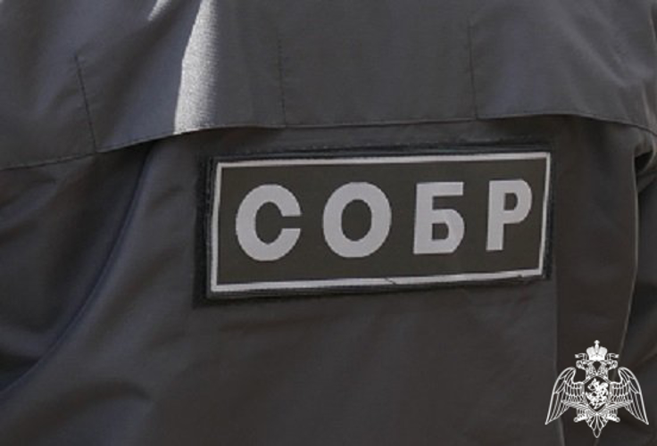 В Вологодской области при поддержке СОБР «Дружина» задержан мужчина, подозреваемый в реализации немаркированной алкогольной и табачной продукци