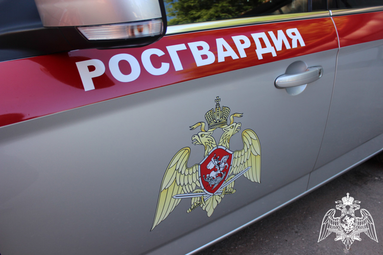 Росгвардейцы в Вологде задержали женщину, похитившую одежду из магазина