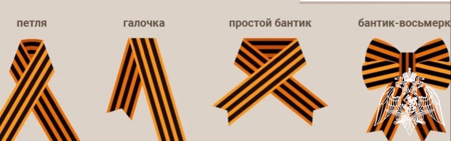 Сотрудники Росгвардии в Вологодской области присоединились ко всероссийской акции «Георгиевская лента»