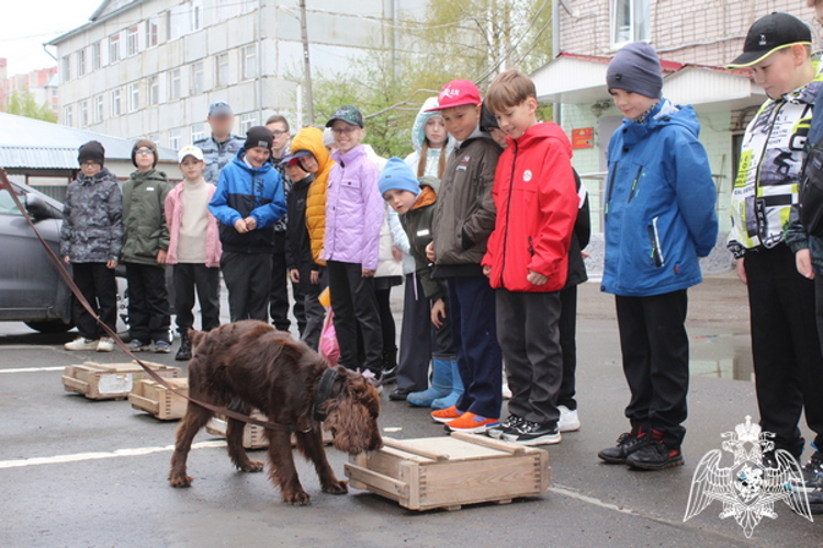 Дни открытых дверей для вологодских школьников провели сотрудники спецподразделений Росгвардии