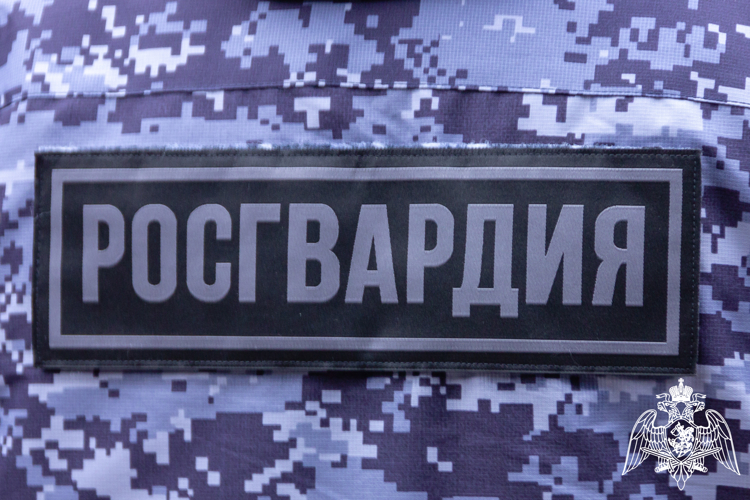 24 правонарушения пресекли на территории Вологодской области сотрудники вневедомственной охраны Росгвардии за минувшую неделю