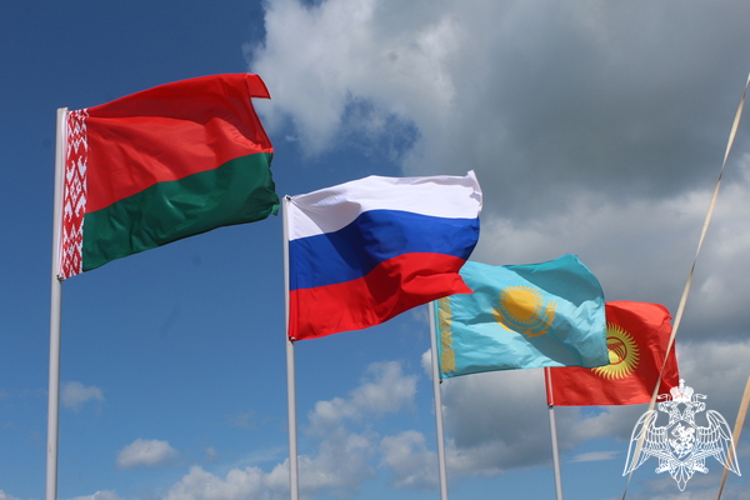 ПРЕДСТАВИТЕЛИ РОСГВАРДИИ ПРИНЯЛИ УЧАСТИЕ В УЧЕНИЯХ ПО ЛОКАЛИЗАЦИИ И ЛИКВИДАЦИИ ОЧАГОВ ОПАСНЫХ ЗАБОЛЕВАНИЙ ЖИВОТНЫХ (ВИДЕО)