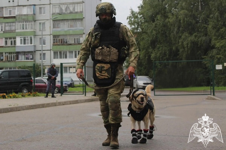 Сотрудники Росгвардии приняли участие во всероссийских антитеррористических учениях (ВИДЕО)