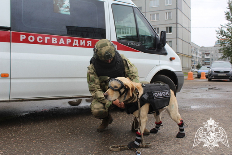 Сотрудники Росгвардии приняли участие во всероссийских антитеррористических учениях (ВИДЕО)