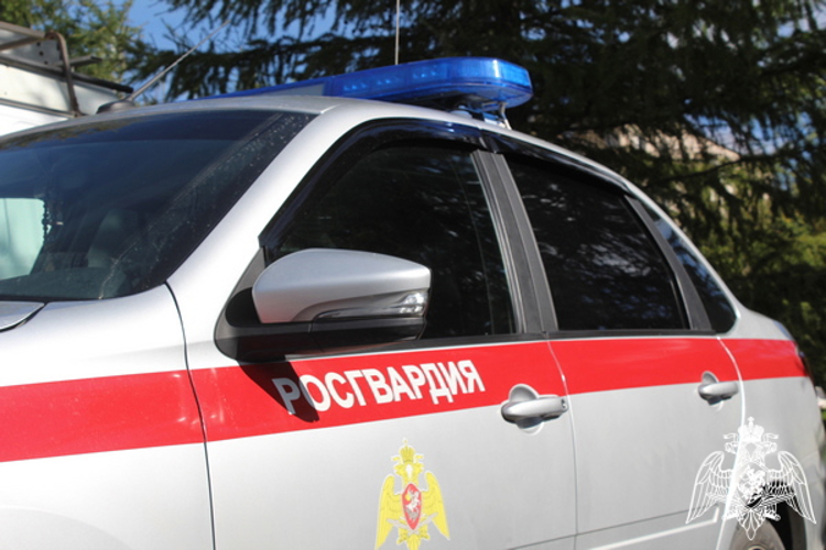 Более 20 правонарушений пресекли на территории Вологодской области сотрудники вневедомственной охраны Росгвардии за минувшую неделю