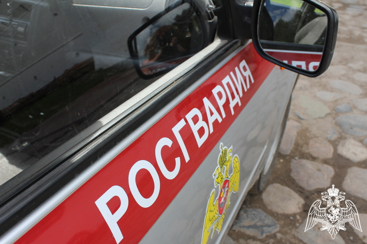 Росгвардейцы задержали вологжанина, пытавшегося похитить из супермаркета сладости