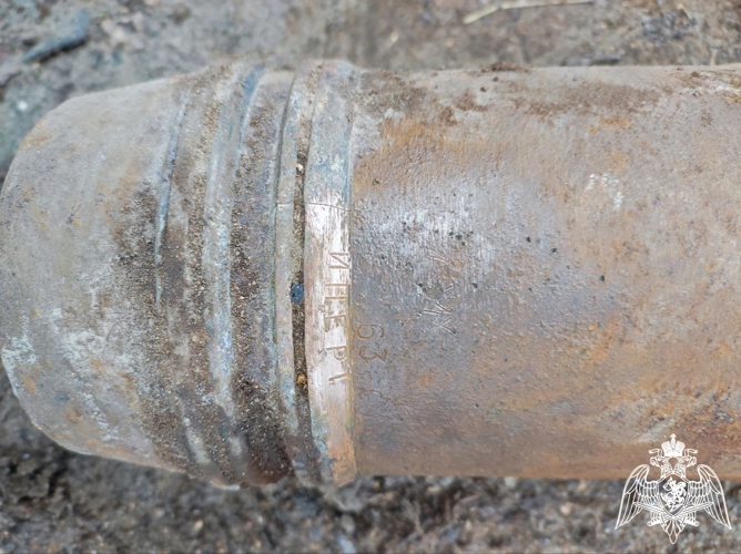 В Вологодской области взрывотехники ОМОН Росгвардии обследовали обнаруженные предметы, схожие с боеприпасами