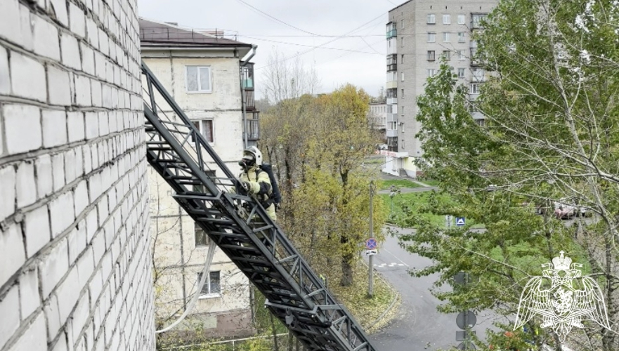 Совместные пожарно-тактические занятия Росгвардии и МЧС прошли в Череповце (ВИДЕО)