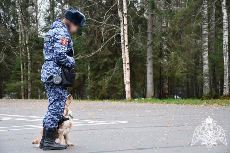 В Вологодской области росгвардейцы провели «Урок Мужества» для школьников в военно-патриотическом центре «Авангард»