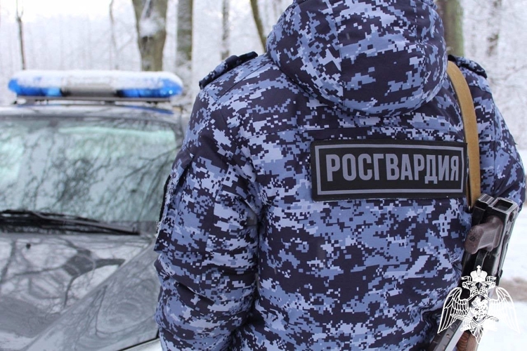 22 правонарушителей задержали сотрудники вневедомственной охраны Росгвардии за минувшую неделю на территории Вологодской области