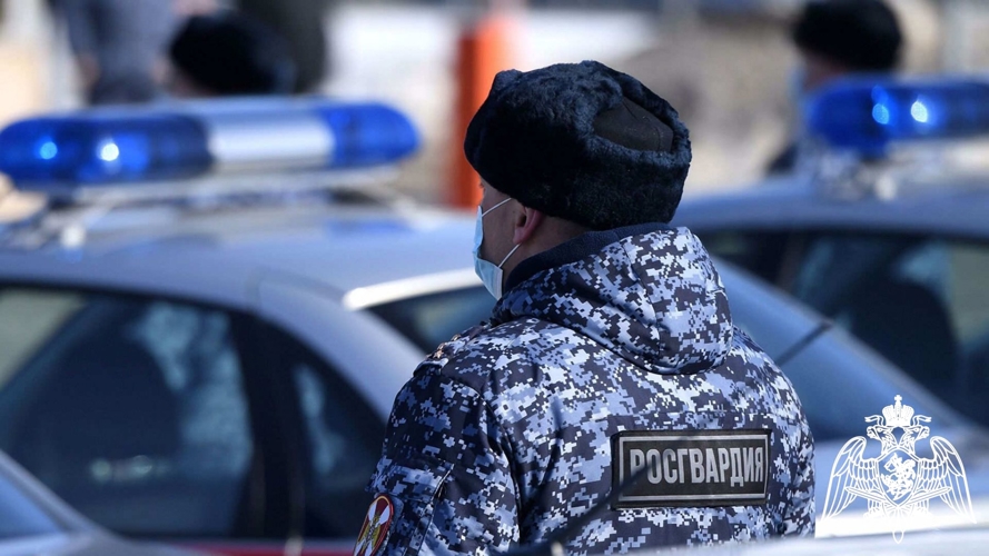 В Вологодской области росгвардейцы задержали 8 нетрезвых правонарушителей на минувших выходных