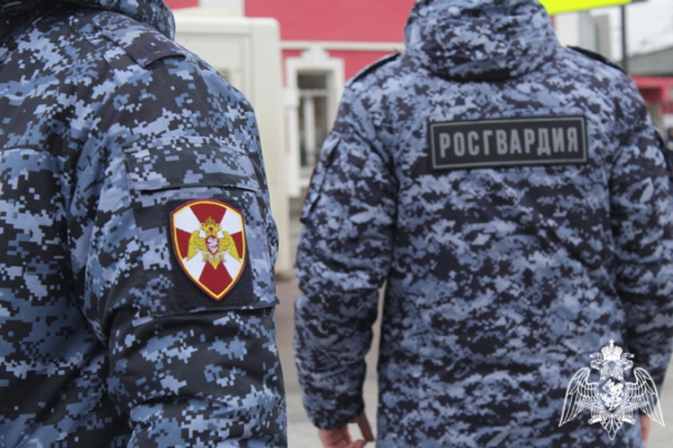 Сотрудники вневедомственной охраны Росгвардии в Вологодской области за новогодние праздники задержали 37 граждан
