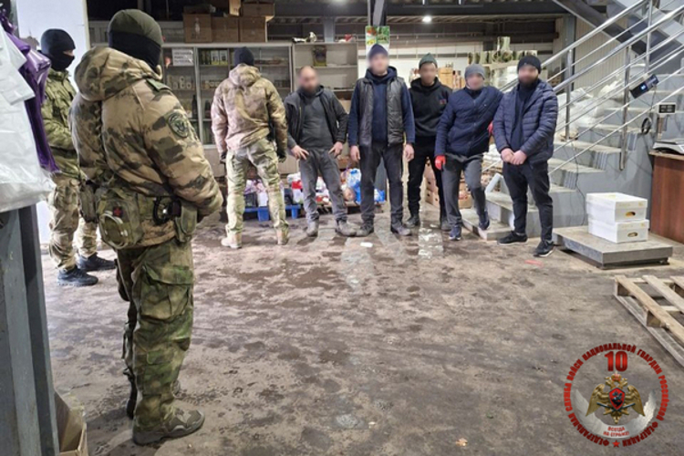 В Вологде сотрудники ОМОН «Вымпел» Росгвардии оказали силовую поддержку полицейским при проведении миграционного рейда