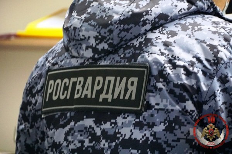 В Череповце росгвардейцы пресекли несколько хищений товара в одном и том же магазине