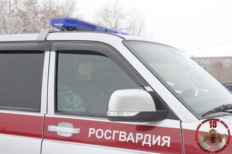 Росгвардейцы задержали двух череповчан, похитивших продукты питания в одном и том же магазине