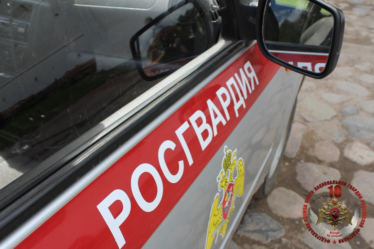 23 правонарушителей на территории Вологодской области задержали сотрудники вневедомственной охраны Росгвардии за минувшую неделю