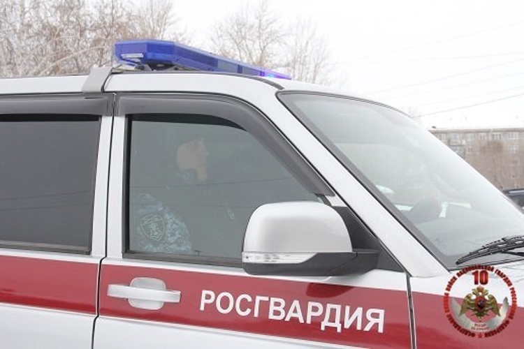 Шесть нетрезвых граждан, устроивших скандалы в общественных местах г.Череповец, задержали за минувшие выходные сотрудники Росгвардии