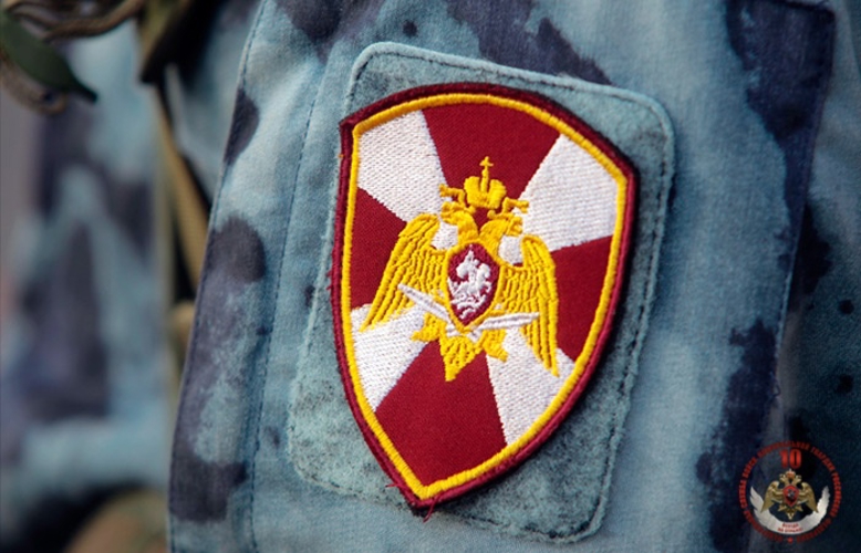 11 правонарушений на территории Вологодской области пресечено сотрудниками вневедомственной охраны Росгвардии за минувшую неделю