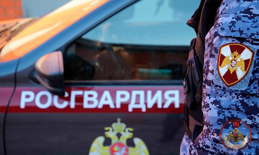 20 правонарушителей на территории Вологодской области задержали сотрудники вневедомственной охраны Росгвардии за минувшую неделю