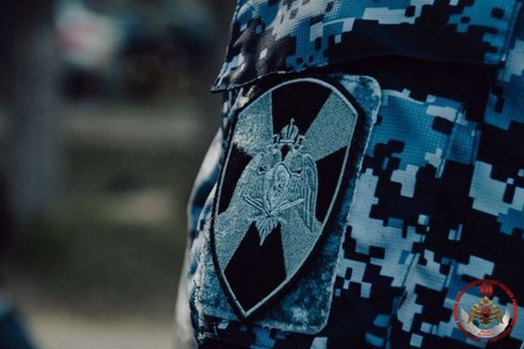 22 правонарушения пресекли на территории Вологодской области сотрудники вневедомственной охраны Росгвардии за минувшую неделю
