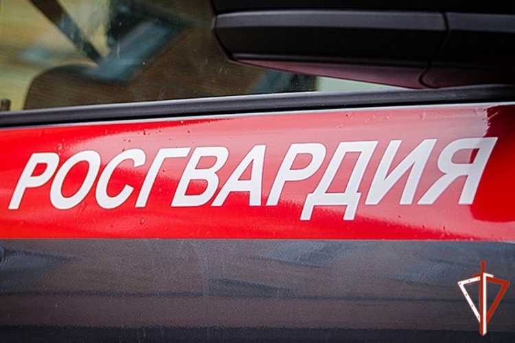 17 правонарушителей на территории Вологодской области задержали сотрудники вневедомственной охраны Росгвардии за минувшую неделю