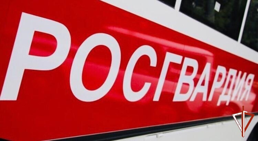 В Череповце росгвардейцы задержали нетрезвого мужчину, устроившего скандал в увеселительном заведении