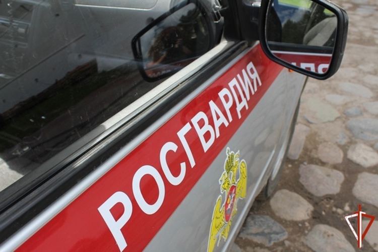 Росгвардейцы задержали череповчанина, отказавшегося оплачивать счет в заведении