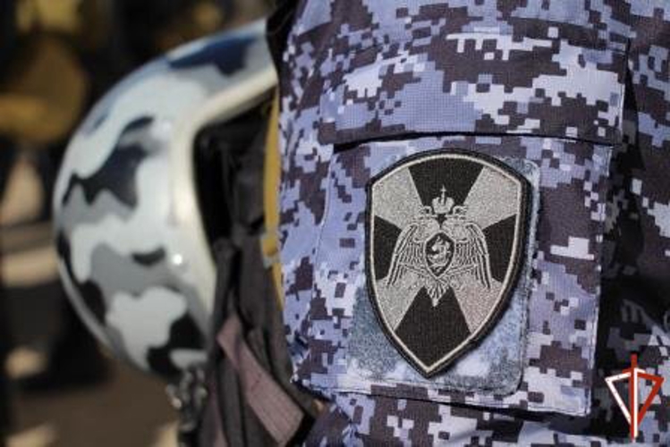 17 правонарушителей на территории Вологодской области задержали сотрудники вневедомственной охраны Росгвардии за минувшую неделю
