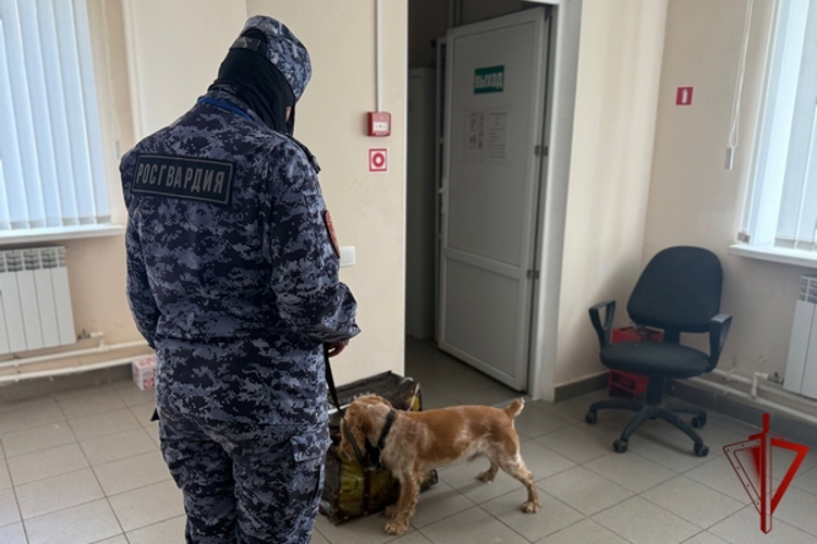 Вологодские росгвардейцы стали серебряными призерами Чемпионата по многоборью кинологов