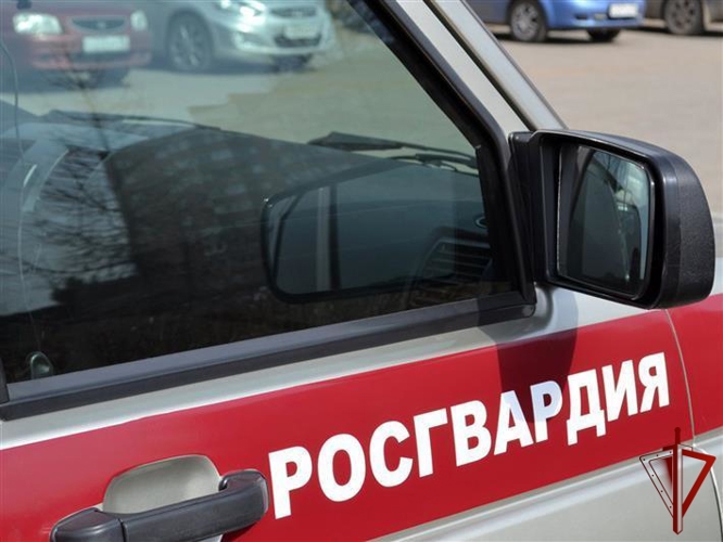 16 правонарушителей на территории Вологодской области задержали сотрудники вневедомственной охраны Росгвардии за минувшую неделю