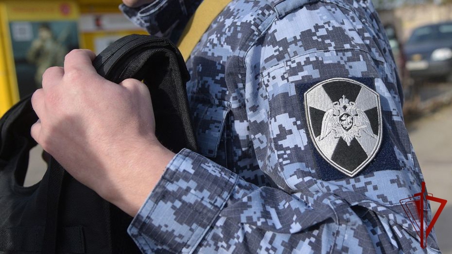 19 правонарушителей на территории Вологодской области задержали сотрудники вневедомственной охраны Росгвардии за минувшую неделю