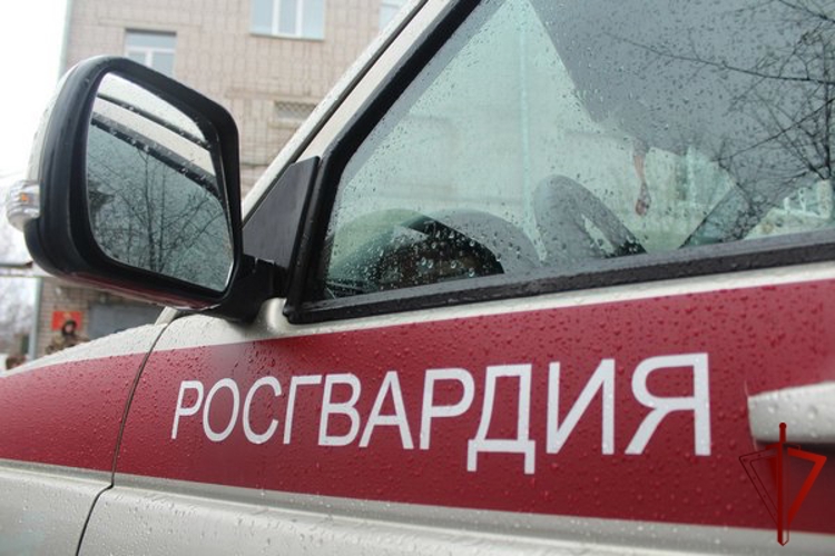 Росгвардейцы задержали череповчанина, подозреваемого в хищении товара из магазина