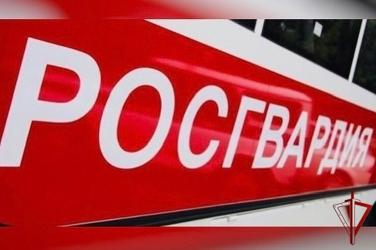 В Вологде росгвардейцы задержали нетрезвого мужчину, устроившего дебош в баре
