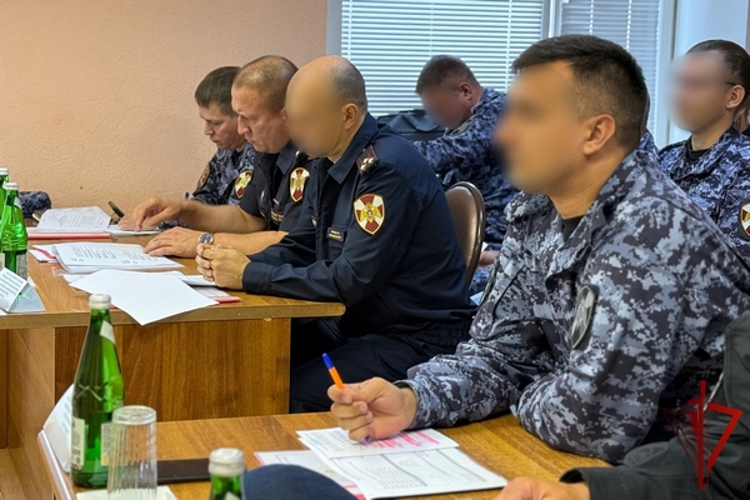 В Вологде росгвардейцы и представители силовых структур региона обсудили совместную работу по охране общественного порядка