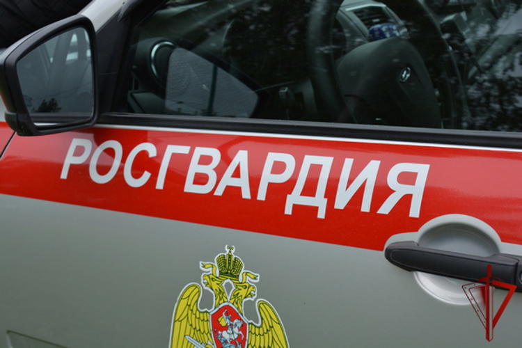 В Вологде росгвардейцы задержали женщину, подозреваемую в хищении канцтоваров из магазина