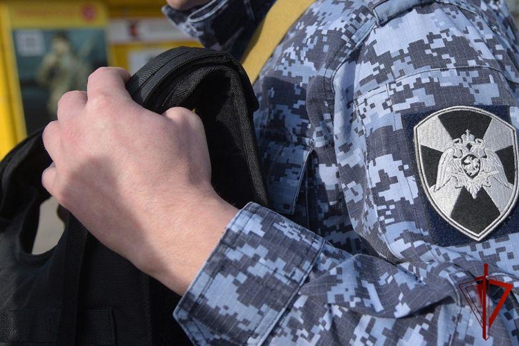 14 правонарушителей на территории Вологодской области задержали сотрудники вневедомственной охраны Росгвардии за минувшую неделю
