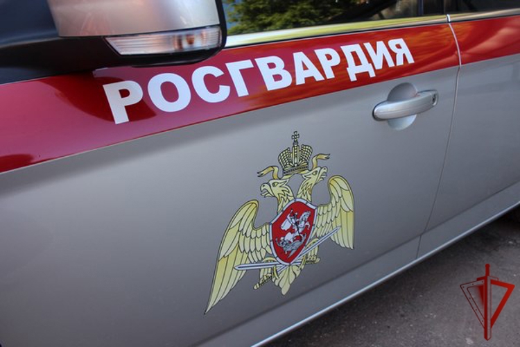 В Череповце росгвардейцы пресекли дебош в увеселительном заведении