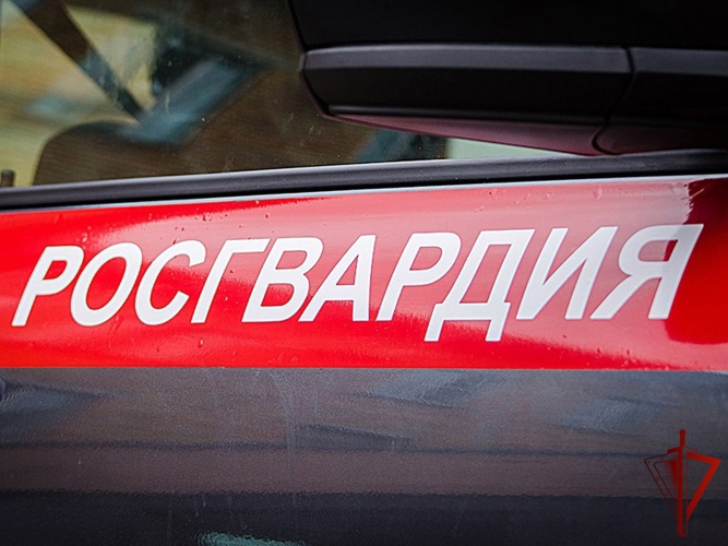 20 правонарушителей на территории Вологодской области задержали сотрудники вневедомственной охраны Росгвардии за минувшую неделю