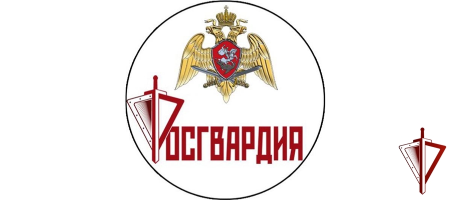 Росгвардейцы задержали череповчан, устроивших скандал