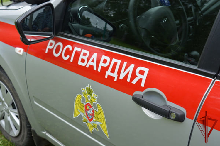 В Соколе росгвардейцы пресекли опасную езду нетрезвого водителя