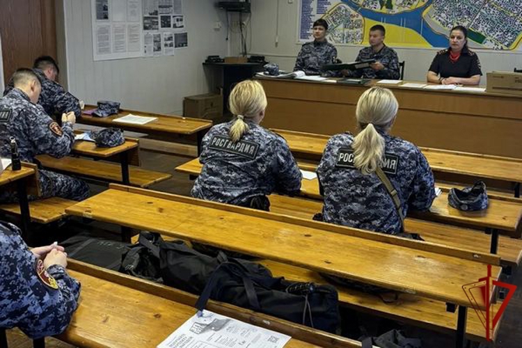 В Череповце росгвардейцы провели круглый стол с сотрудниками Госавтоинспекции вопросы безопасности дорожного движения