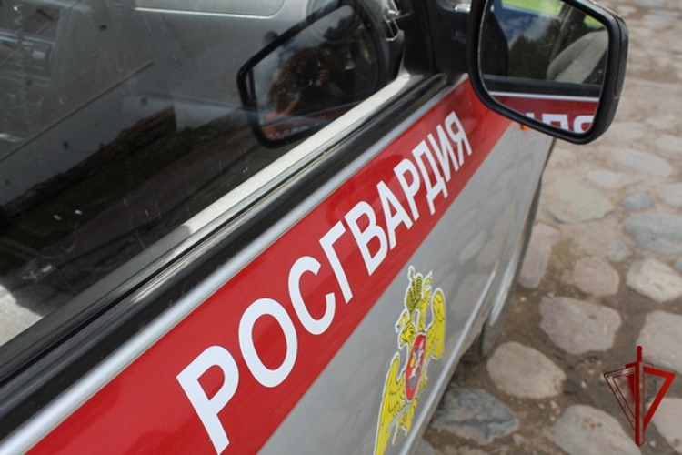 17 правонарушителей на территории Вологодской области задержали сотрудники вневедомственной охраны Росгвардии за минувшую неделю